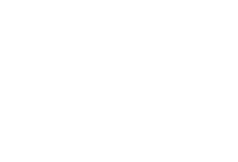 Holistic Analysis